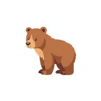 List of Mammals Animals Name |Bear in English