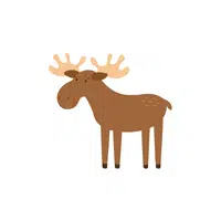 Moose in English