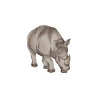 List of Mammals Animals Name |Rhinoceros in English