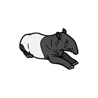 Tapir in English