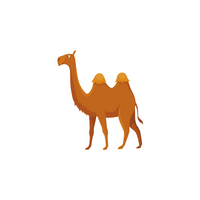 Bactrian camel in English