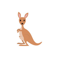 List of Mammals Animals Name |Kangaroo in English