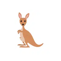 List of Mammals Animals Name |Kangaroo in English