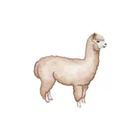 Alpaca in English