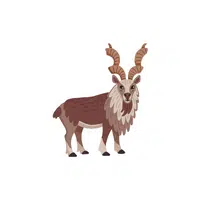 List of Mammals Animals Name |Markhor in English