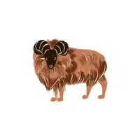 List of Mammals Animals Name |Tahr in English