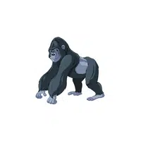 List of Mammals Animals Name |Gorilla in English