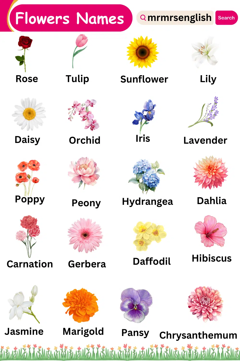 Different types of flowers names