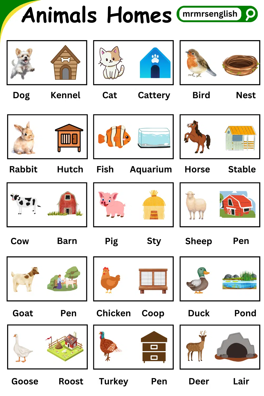 Homes of Animals names in English