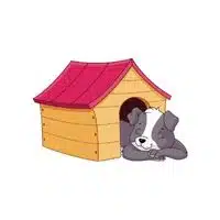 Homes of Animals |Dog in English