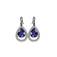 Silver earrings in English