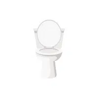 Bathroom items names | Toilet in English