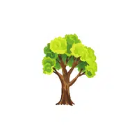 Types of Trees names |Mahogany in English