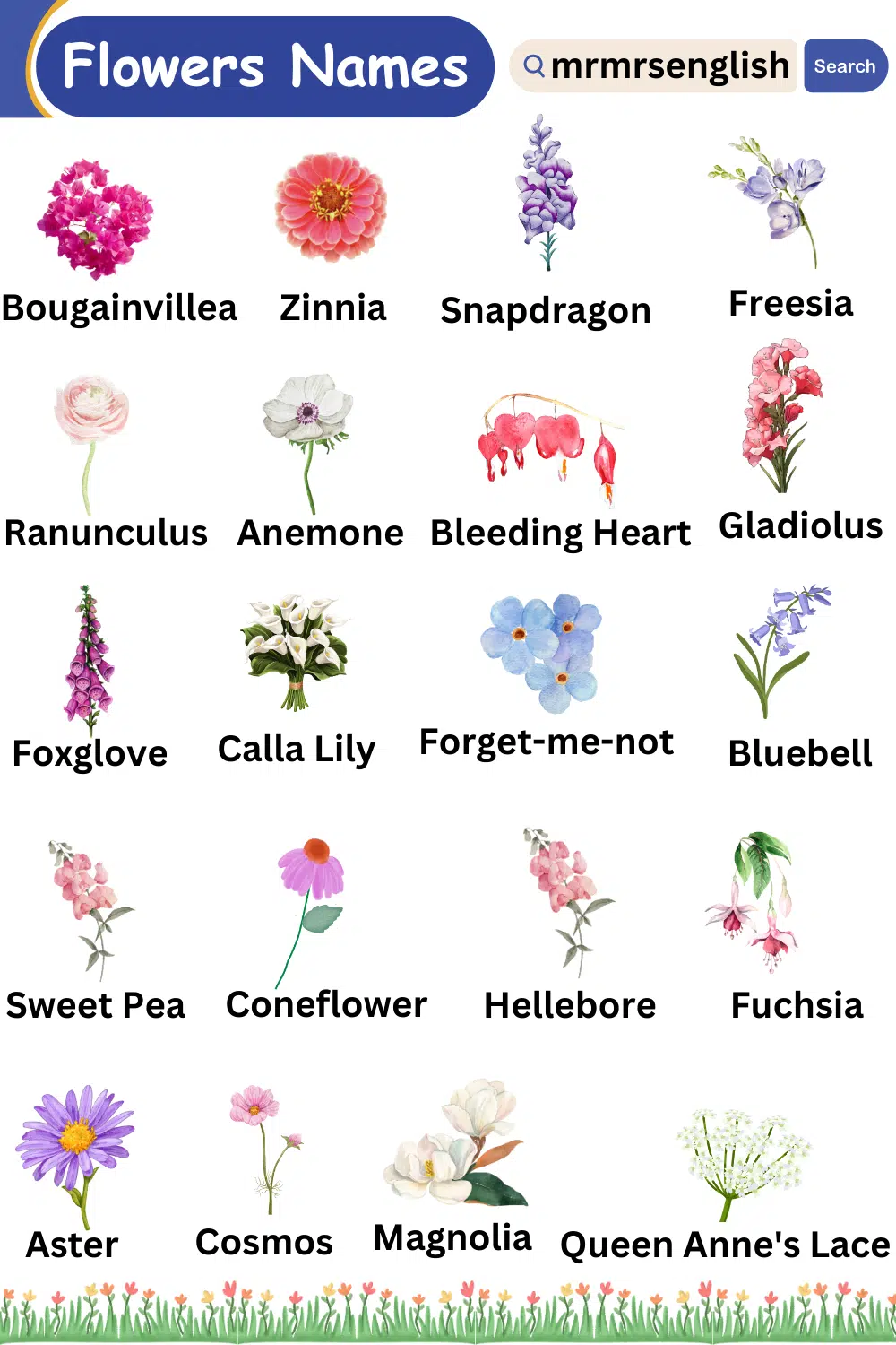 List of Different types of flowers names