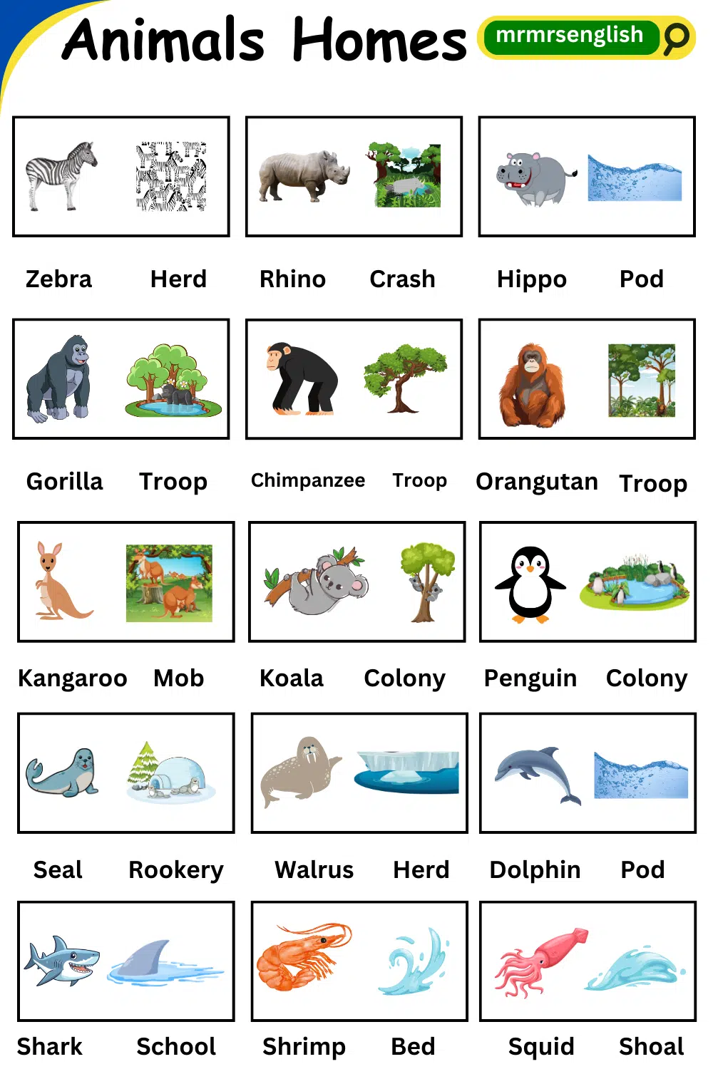 Homes of Animals names in English