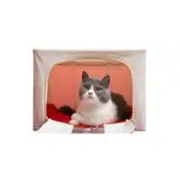 Homes of Animals |Cat in English