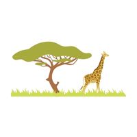 Homes of Animals |Giraffe in English