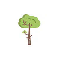 Types of Trees names |Teak in English