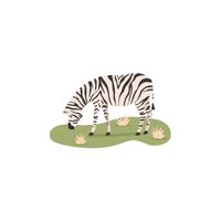 Homes of Animals |Zebra in English