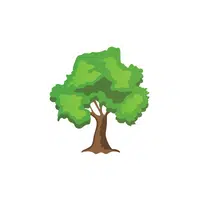 Types of Trees names |Ironwood Tree in English