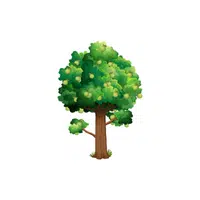 Types of Trees names |Guava Tree in English