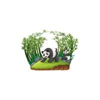 Homes of Animals | Panda in English