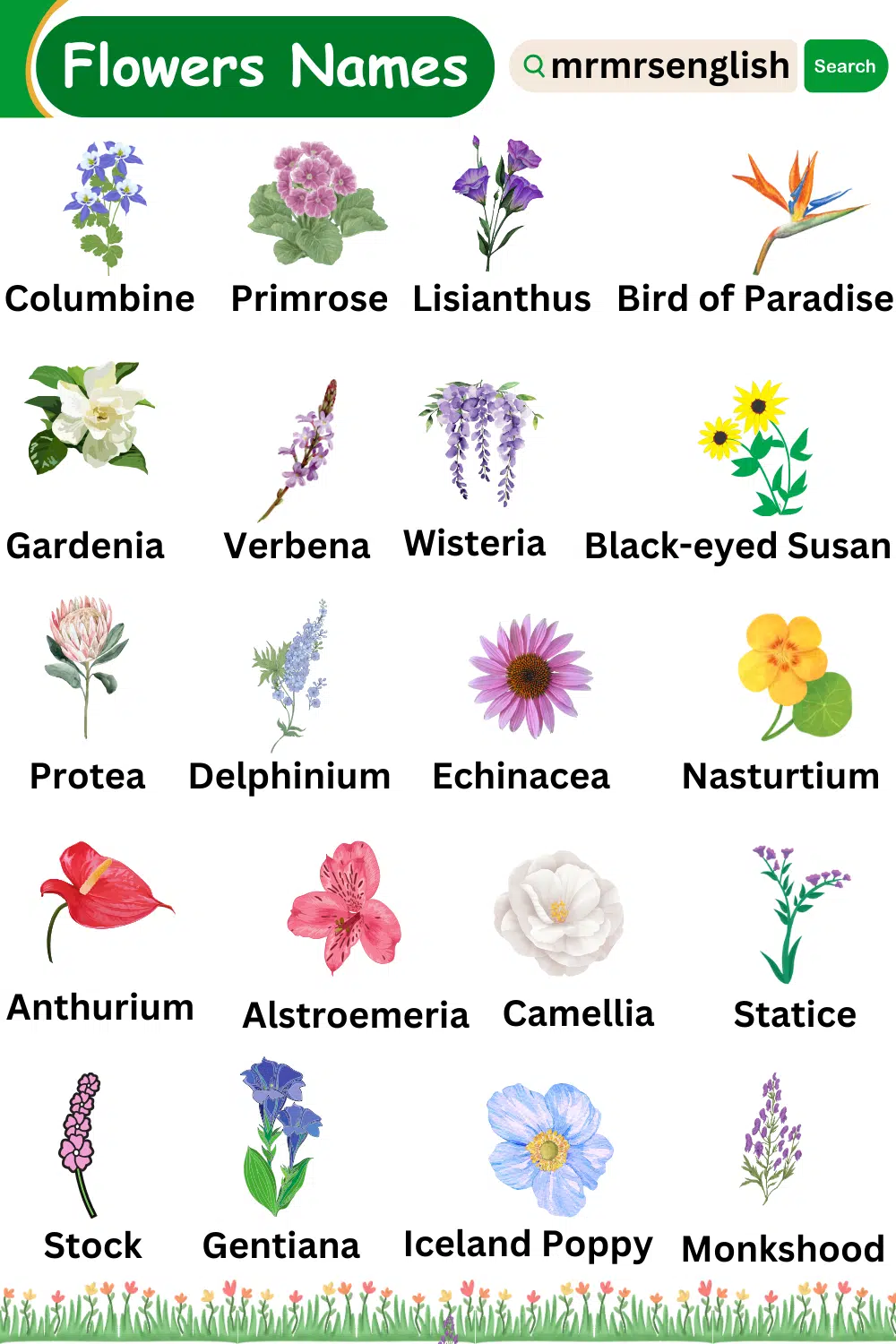 List of 100 flowers names in English