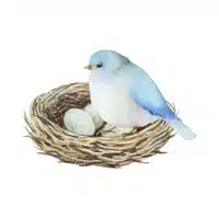 Homes of Animals |Bird in English