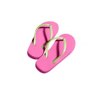 Casual Shoes Names | Flip flops in English