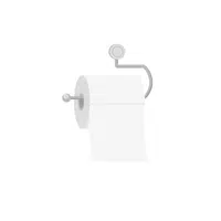 Toilet paper in English