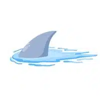 Homes of Animals |Shark in English