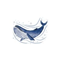 Homes of Animals | Whale in English