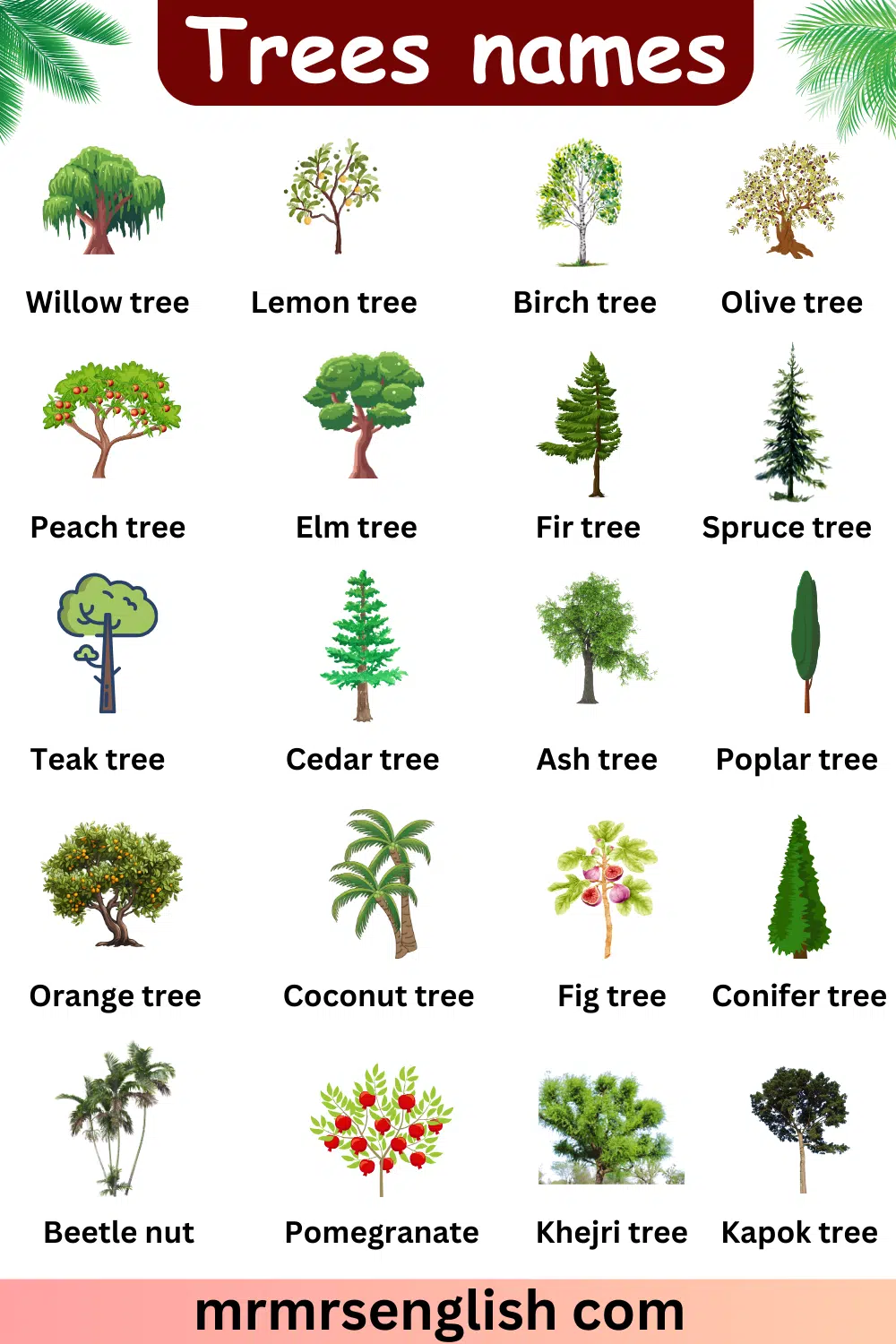 Names of Trees with pictures 