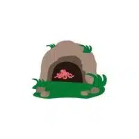 Homes of Animals | Octopus in English