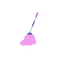 Mop in English