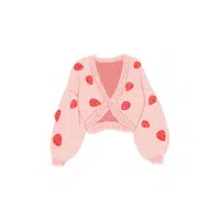 Women's Clothes and Accessories Names |Sweater in English