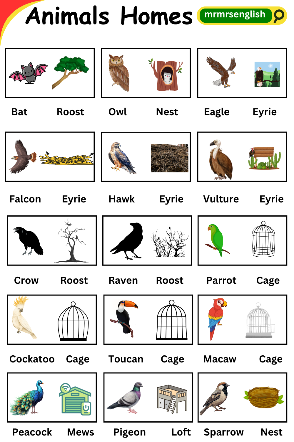 Homes of Animals names in English