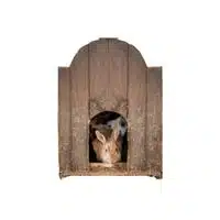 Homes of Animals |Rabbit  in English