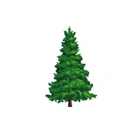 Types of Trees names |Deodar Cedar: in English