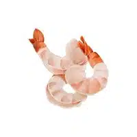 Homes of Animals |Lobster in English