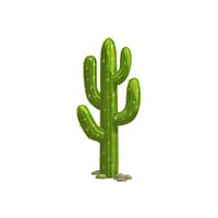 Types of Trees names |Cactus in English