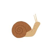 Homes of Animals |Snail in English