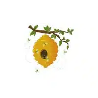 Homes of Animals |Bee in English