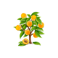 Types of Trees names | Apricot Tree in English