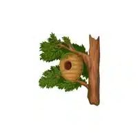 Homes of Animals |Wasp  in English