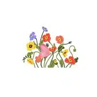 Butterfly| in English