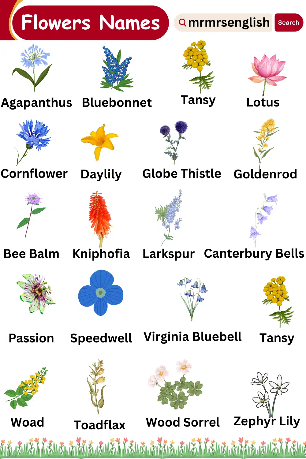 Flowers with names and images in English