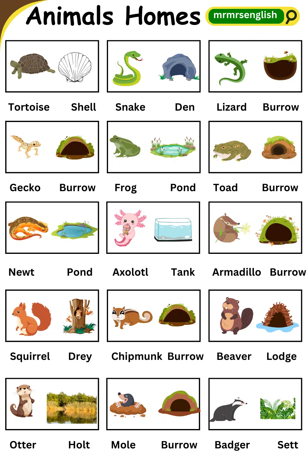 Homes of Animals names in English