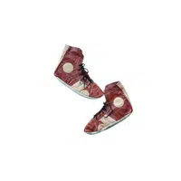 Wrestling shoes in English
