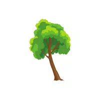 Types of Trees names |Acacia in English